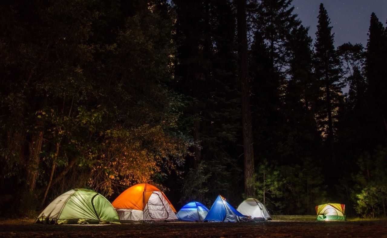 Lit tents in several colors pitched among tall pine trees at night